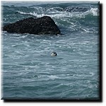 P1080246.jpg(194 KB)