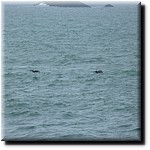 P1080256.jpg(185 KB)