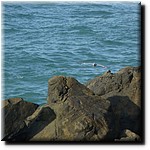 P1080281.jpg(202 KB)