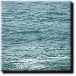 P1080282.jpg(221 KB)