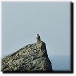 P1080288.JPG(112 KB)