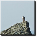 P1080290.JPG(115 KB)