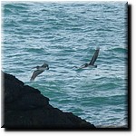 P1080303cr.JPG(224 KB)