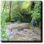 P1080332.jpg(373 KB)