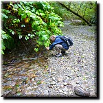 P1080335.jpg(395 KB)