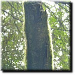 P1080341.jpg(127 KB)