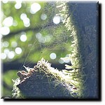 P1080342.jpg(128 KB)