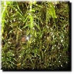 P1080342c.JPG(249 KB)