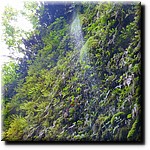 P1080346.jpg(218 KB)