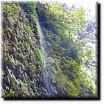 P1080347.jpg(221 KB)