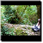 P1080347c.jpg(108 KB)