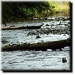 P1080356.jpg(271 KB)