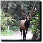 P1080375.jpg(270 KB)