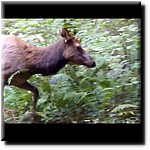 P1080375b.jpg(74.6 KB)