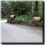 P1080376.jpg(206 KB)