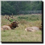 P1080385.jpg(217 KB)