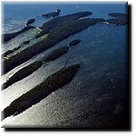 sucia island aerial.jpg(129 KB)