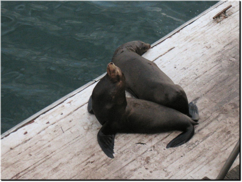 Image00023.jpg (186 KB)