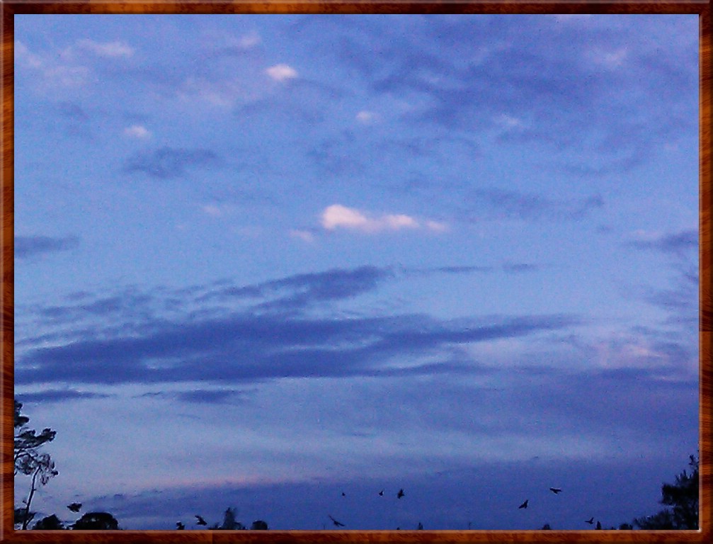 IMAG0132.jpg (144 KB)