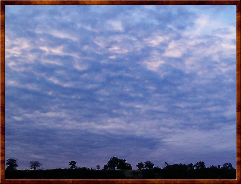 IMAG0133.jpg (140 KB)