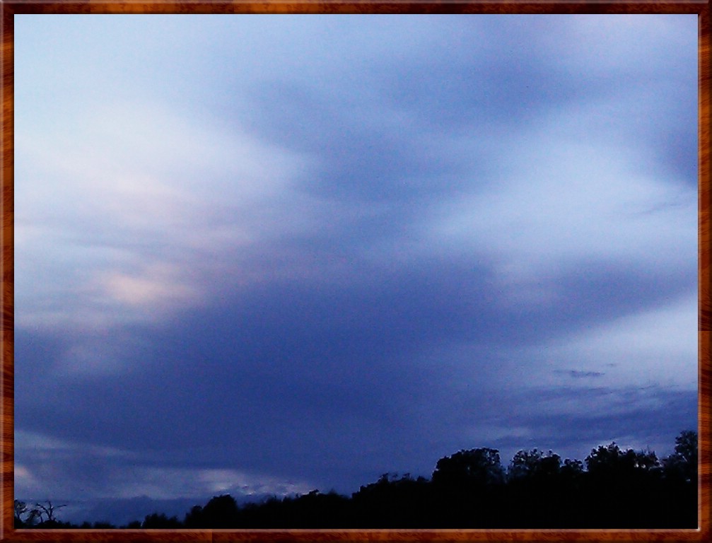 IMAG0134.jpg (118 KB)