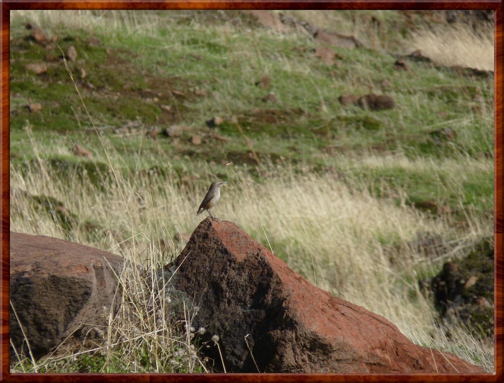 resized00002glenn.jpg (215 KB)