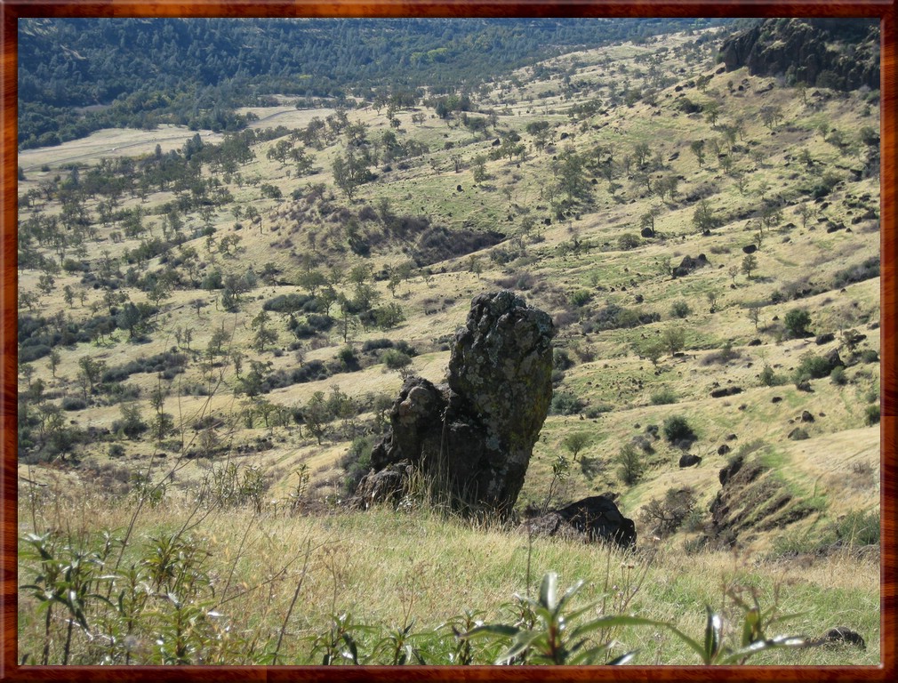 resized00002lisa.jpg (329 KB)