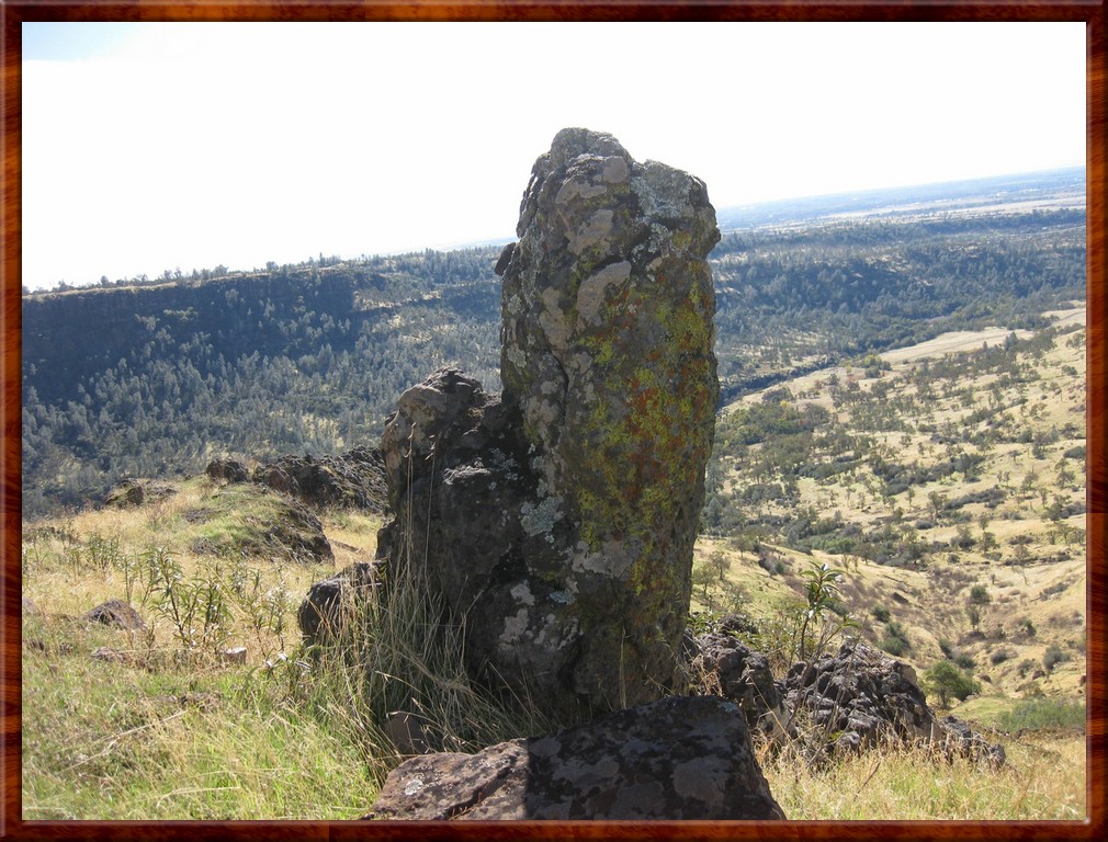 resized00003lisa.jpg (254 KB)