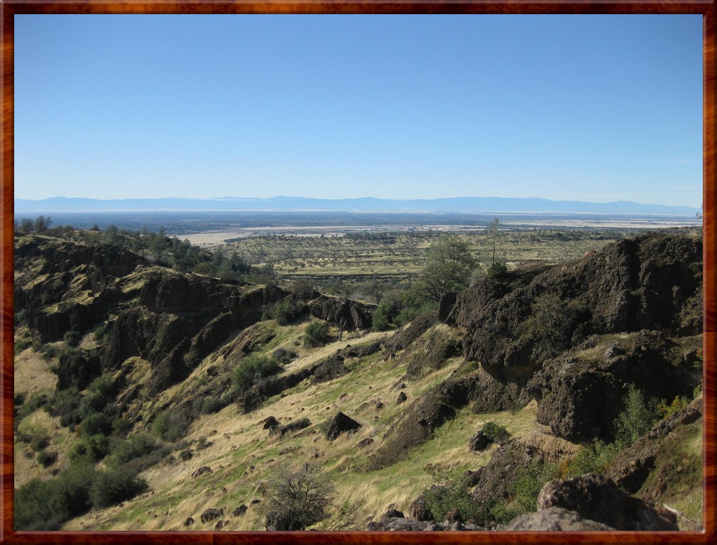 resized00005lisa.jpg (210 KB)