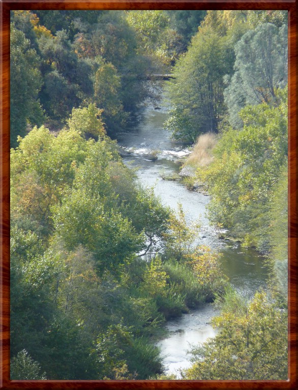 resized00011glenn.jpg (177 KB)