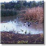 IMAG0131.jpg(290 KB)