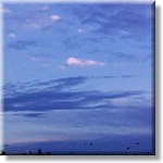 IMAG0132.jpg(144 KB)