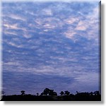 IMAG0133.jpg(140 KB)