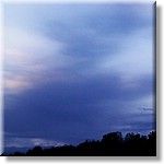 IMAG0134.jpg(118 KB)