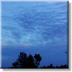 IMAG0135.jpg(135 KB)