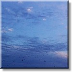 IMAG0136.jpg(148 KB)