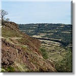 resized00005glenn.jpg(258 KB)