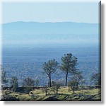 resized00010glenn.jpg(152 KB)